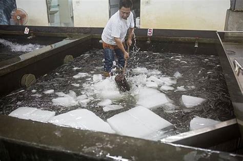 旺生企業|【活鰻女王】「鯰魚效應」讓鰻魚0死亡？ 她說：胡說八道 